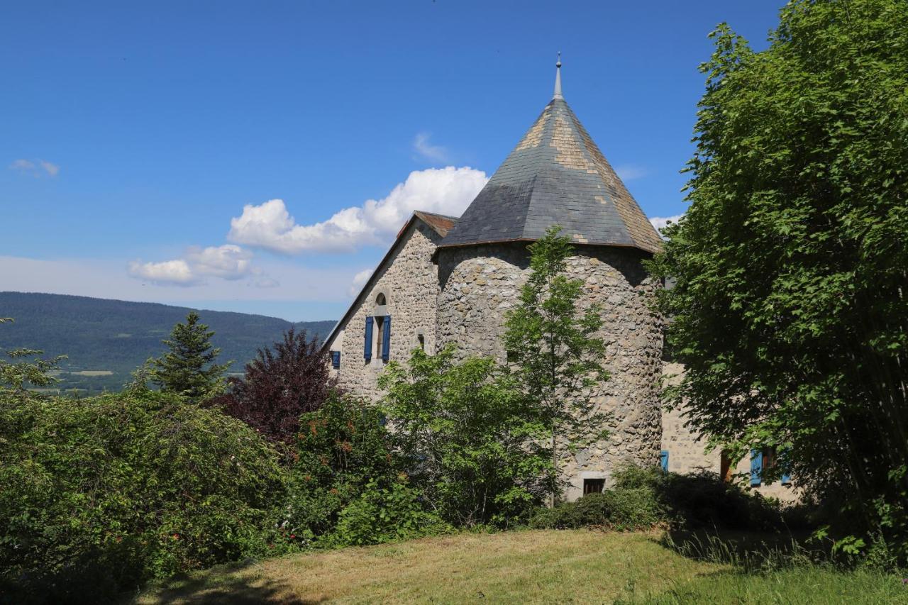 Chateau De Sothonod 外观 照片