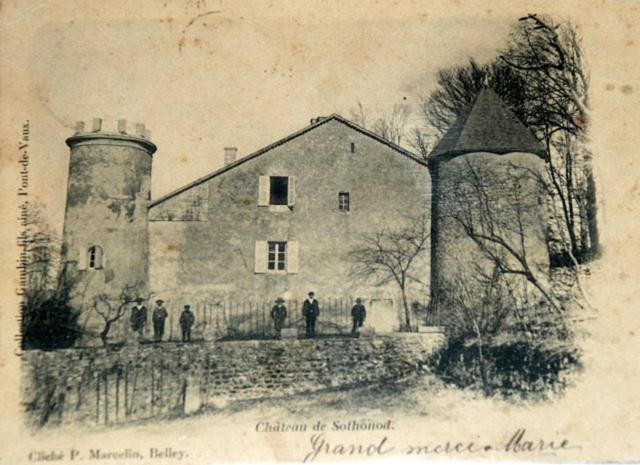 Chateau De Sothonod 外观 照片