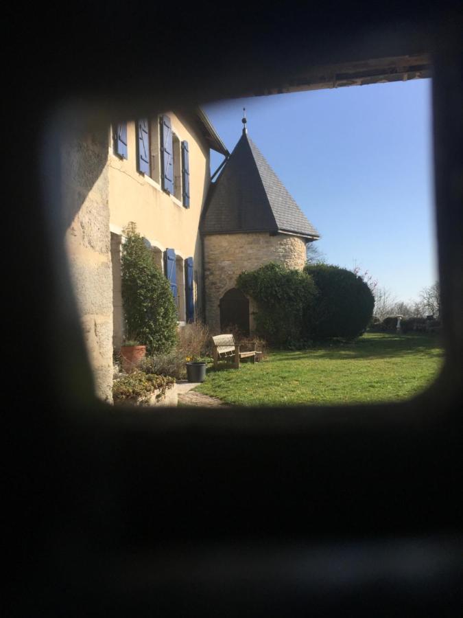 Chateau De Sothonod 外观 照片