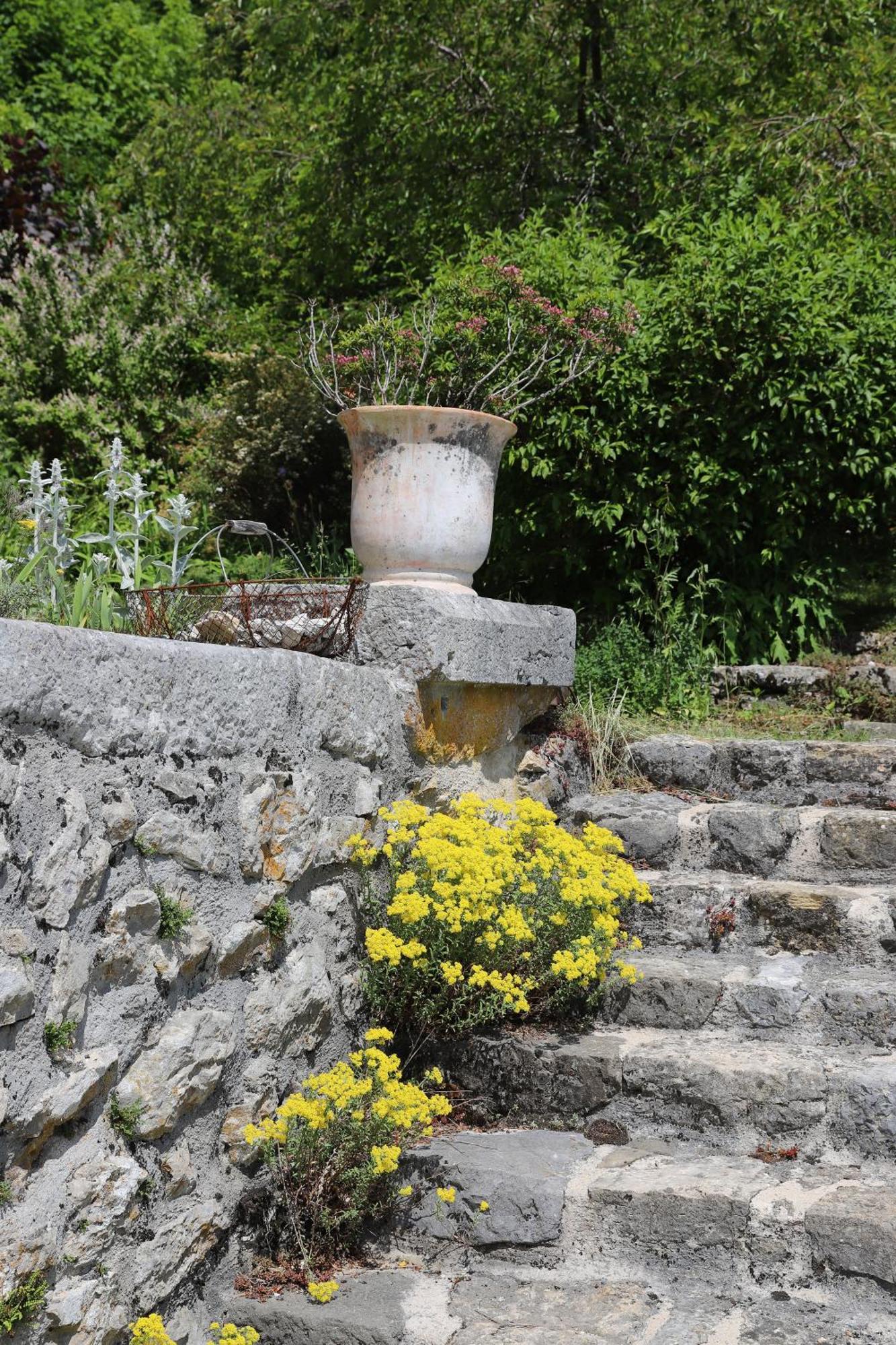 Chateau De Sothonod 外观 照片